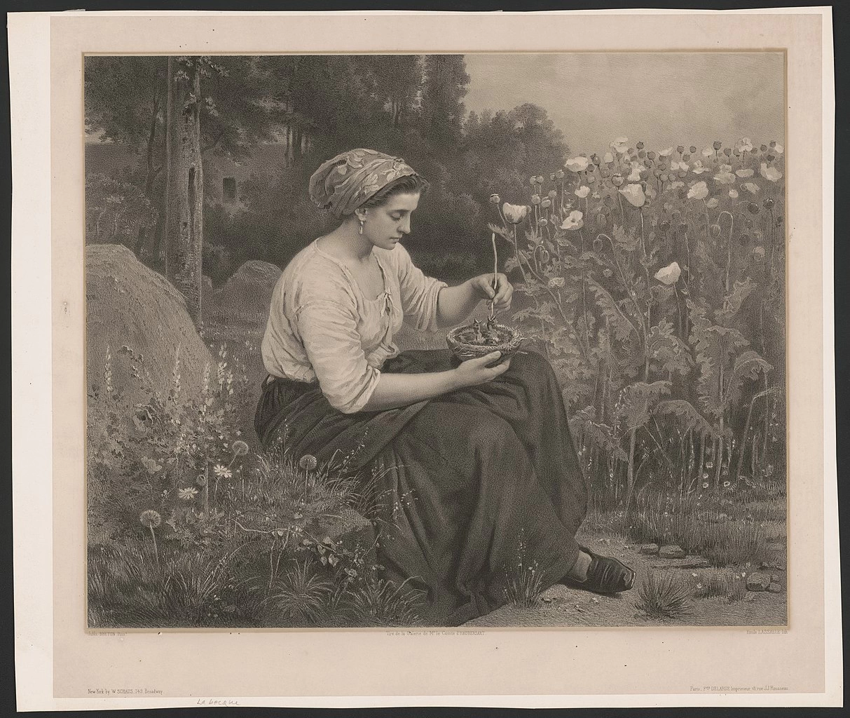 Donna seduta che alimenta i giovani uccelli in un nido
